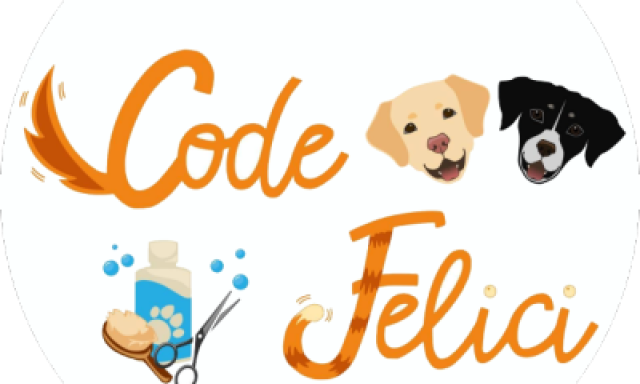 Code Felici