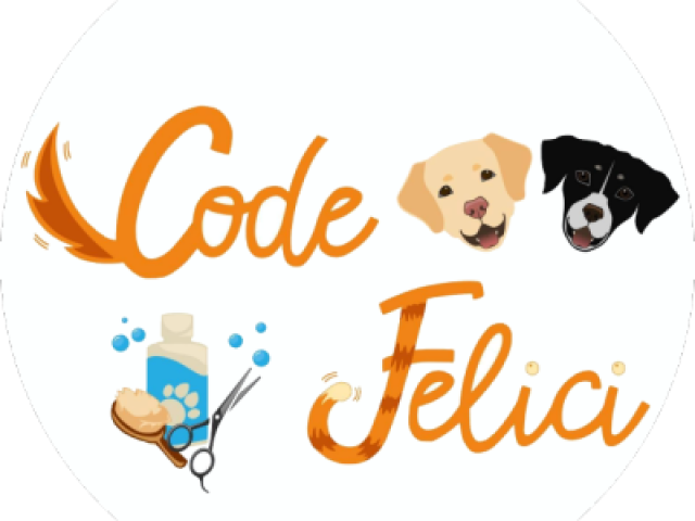 Code Felici