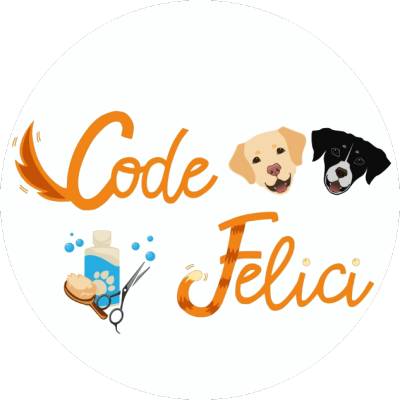 Code Felici